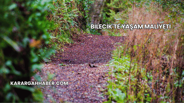 Bilecik'te Yaşam Maliyeti