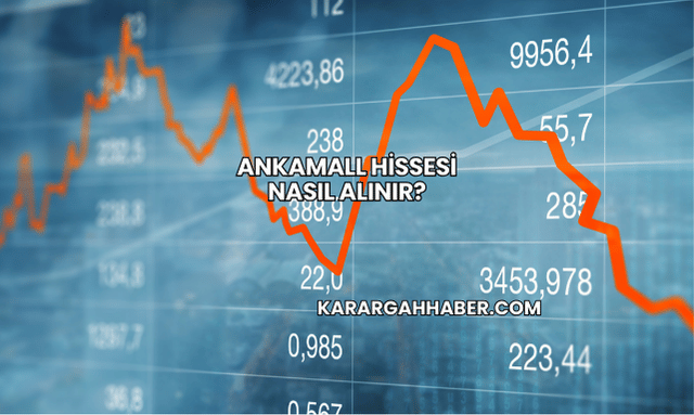Ankamall Hissesi Nasıl Alınır?