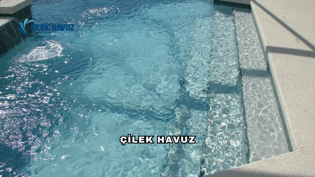 Çilek Havuz Hakkında